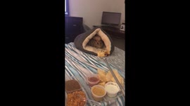 Rocky Rejects Chicken Flauta