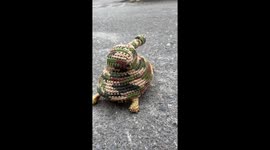 Adorable Tortoise Tank On Patrol