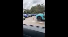 Hungry Fox Fails to Secure Dinner