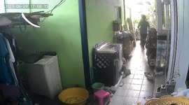 Cat Escapes Monitor Lizard