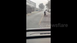Kind-hearted Chinese couple rescues cat with snack bag stuck on head from busy traffic
