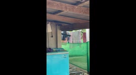 Terrified family find HUGE king cobra dangling from their roof