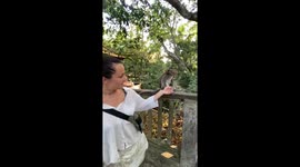 Cute monkey suddenly turns aggressive when woman asks brother to get it off her