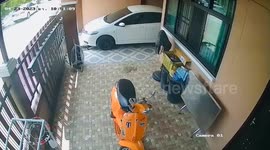 Monitor lizard runs through home taking housewife by surprise