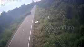 Wild elephant herd crosses road to return to forest in Thailand