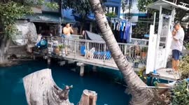 Locals baffled when canal water turns deep blue-green in Thailand