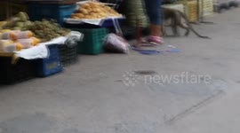 Hostile macaque terrorises vendors at Thai market