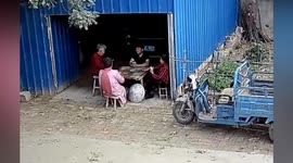 Escaped bull rams locals playing cards in China