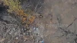Ukrainian tanks destroy Russian positions near Zaporizhzhia