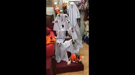 Shih Tzu dogs dress up as ghosts and witches for Halloween