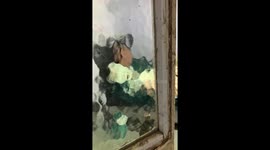A Dog Watches Dog Videos