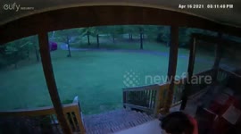 Woman Wipes Out on Steps Taking Out Trash