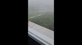 Feeding A Friendly Falcon