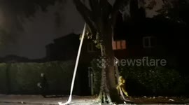 Teenagers in Golders Green North London toilet paper the trees as they trick or treat around the streets on Halloween night