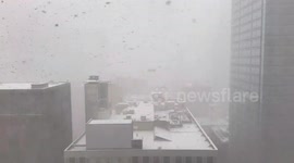 US: ‘Manitoba Mauler’ With Heavy Snowfall Brings White Halloween To Chicago