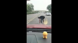 Drivers rescue injured cat from road and help it to recover