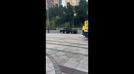 Pet Samoyed dog runs outside car to wrong person