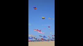 Sharks and octopuses soar in skies for colourful kite festival in China