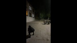 Woman feeds friendly wild bear family visiting her home