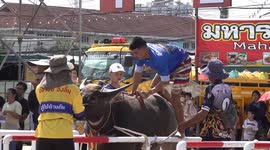 Farmers race on buffalo at this century-old festival in Thailand