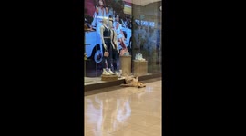 Unique dog nap: canine captivates onlookers with unusual sleeping position