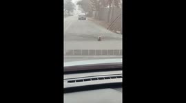 Woman Rescues Kitty Trapped in Plastic Bag on Busy Road in China