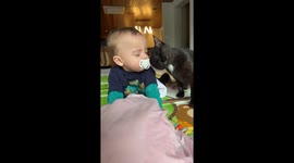 Kitty and Baby Cuddle
