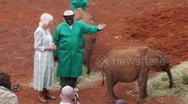 British Royals Queen Camilla In Kenya feeds baby Elephants Nairobi