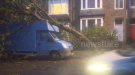 Storm Ciaran blows down tree crushing van in n Cornwall at 4am this morning