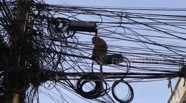 Marauding female macaque steals food from vendors at Thai market