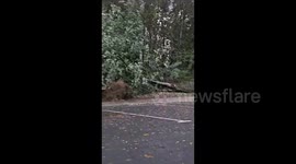 France: Storm Ciaran Leaves Damage Across Northwest Regions 3