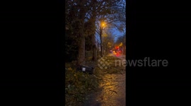 France: Storm Ciaran Leaves Damage Across Northeast Regions