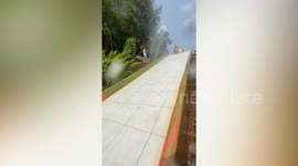 Pet Labrador Retriever joins owner going down waterslide