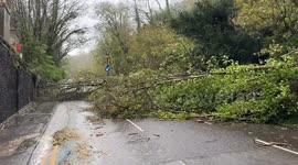 Storm Ciaran: Main road beneath Dover Castle littered with fallen trees