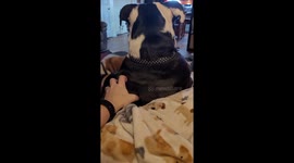 Just As Cute Upside Down
