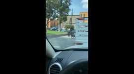 Man Brought Fists To A Dog Fight