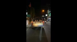 Hatchback Of Huskies