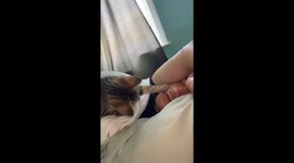 Kitten has enough of boyfriend's snoring so takes matters into its own paws