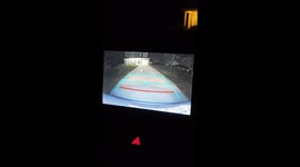 Rolling Cat Blocks Truck Reversing