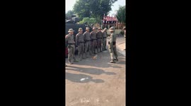 Disciplined cat joins soldier lineup: a moment of feline orderliness