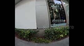 Japan: Volunteer Groups Pick Up Garbage In Shibuya Day After Halloween