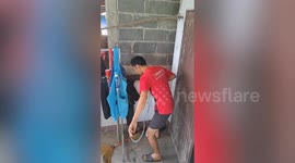 Family remove large monitor lizard intruder from their home