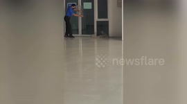Massive monitor lizard chases girls recording him