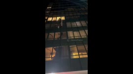 Brave residents rescue cat from perilous heights in Murino, Russia