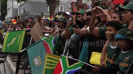 Crowds turn out for Springboks Rugby World Cup victory parade through Cape Town