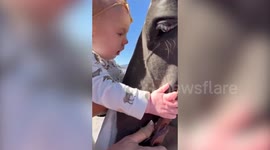 Two-year-old 'horse whisperer' who can ride full-grown horses