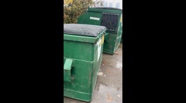 Raccoons Feel On Top Of The World