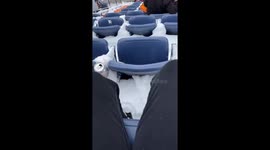 Buried In The Stands