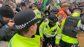 Chaotic scenes in Piccadilly Circus as police arrest pro-Palestine protesters