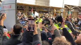 Chaos erupts in Piccadilly Circus as police fight with pro-Palestine protesters trying to prevent arrest